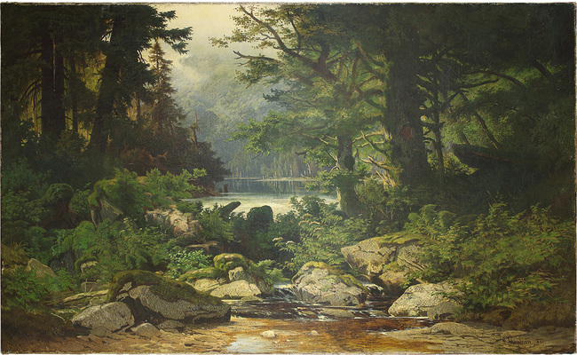 Штефан Леопольд. Лесное озеро